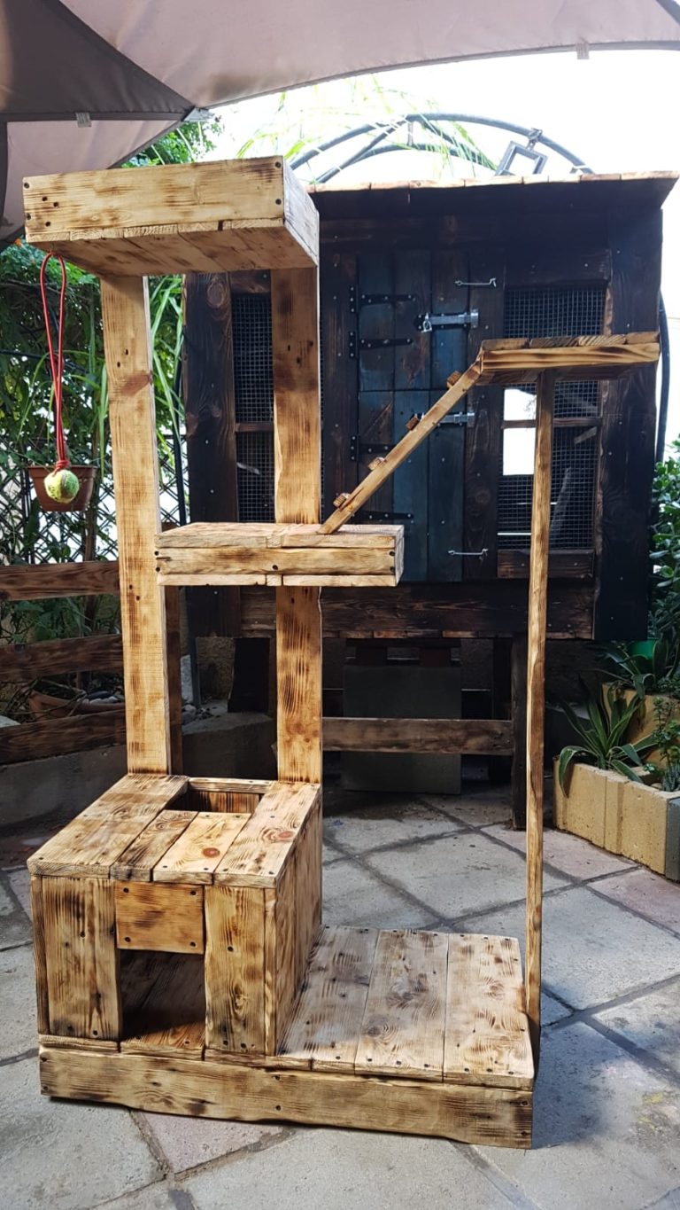 cat tree A