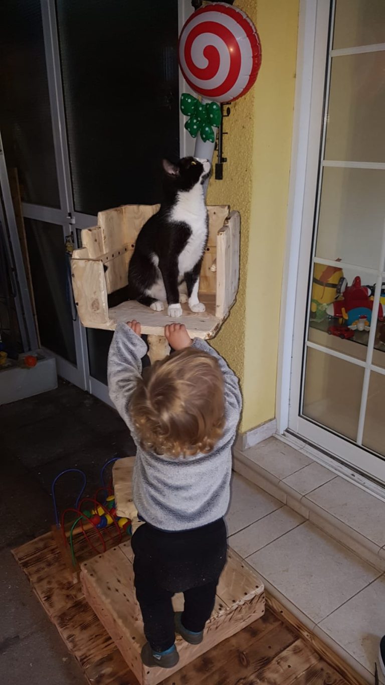 Cat Tree C